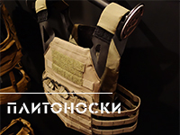 Плитоноски